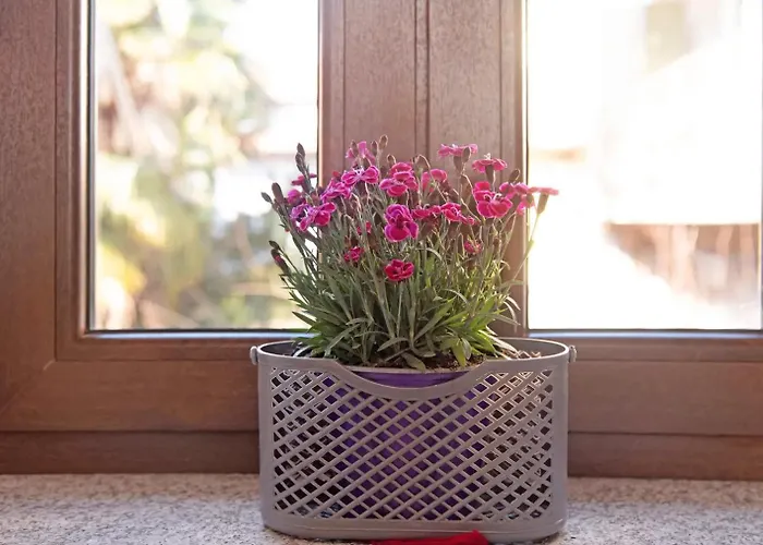 Appartamento Casa Andrea E Linda